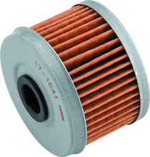 Load image into Gallery viewer, Photo - Primary