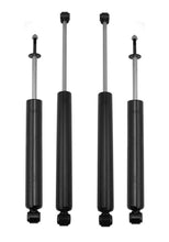 Load image into Gallery viewer, Photo - Primary