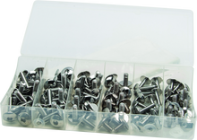 Load image into Gallery viewer, Photo - Primary