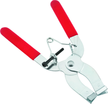 Load image into Gallery viewer, Photo - Primary