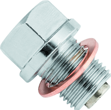 Load image into Gallery viewer, Photo - Primary