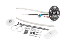 Load image into Gallery viewer, Photo - Primary