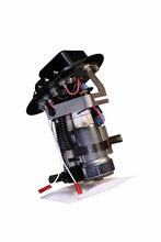 Load image into Gallery viewer, Photo - Close Up