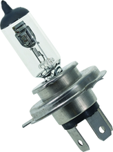 Load image into Gallery viewer, Photo - Primary