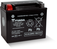 Load image into Gallery viewer, Yuasa YTX12 Maintenance Free AGM 12 Volt Battery