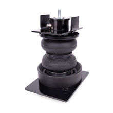 Load image into Gallery viewer, User 1