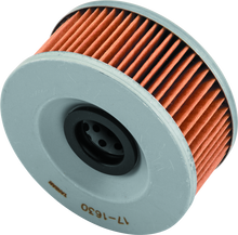 Load image into Gallery viewer, Photo - Primary