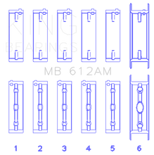 Load image into Gallery viewer, Photo - Primary