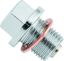 Load image into Gallery viewer, Photo - Primary