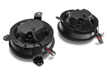 Load image into Gallery viewer, Photo - Close Up