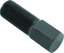 Load image into Gallery viewer, Photo - Primary