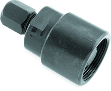 Load image into Gallery viewer, Photo - Primary