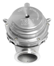 Load image into Gallery viewer, TiAL Sport MVR Wastegate 44mm (All Springs) w/Clamps - Silver