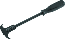 Load image into Gallery viewer, Photo - Primary