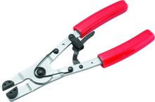 Load image into Gallery viewer, Photo - Primary