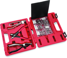 Load image into Gallery viewer, Photo - Primary