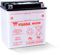 Load image into Gallery viewer, Yuasa YB30L-B Yumicron CX 12 Volt Battery