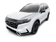 Load image into Gallery viewer, Photo - Mounted