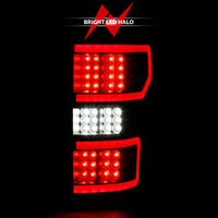 ANZO 18-19 Ford F-150 LED Taillight Black Housing Clear Lens Red Light Bar W/Sequential